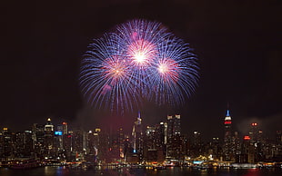 fireworks display over tall buildings HD wallpaper